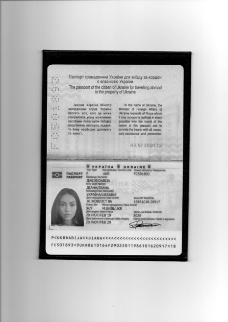 Passport_003.jpg